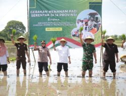 DKP2P Tuban menanam Padi Bersama Presiden PRABOWO SUBIANTO.
