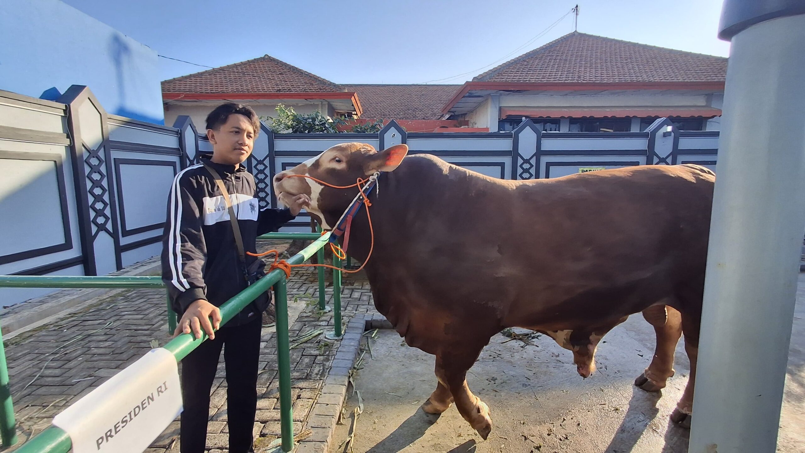 Whatsapp image 2025 06 06 at 07.51.47