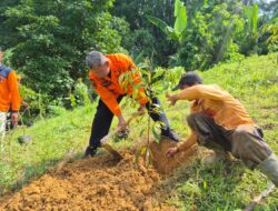 BPBD Tuban tanam Pohon di kumpulrejo untuk perkuat Mitigasi Bencana.
