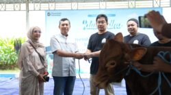 Semangat Berbagi Iduladha 1447 H, PLN UIP JBTB Salurkan Belasan Hewan Kurban untuk Masyarakat