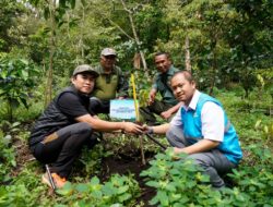 Peringati Hari Lingkungan Hidup Sedunia, PLN Icon Plus Jatim Gelar Reforestasi di Kaki Gunung Arjuno–Welirang