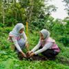 Srikandi PLN Icon Plus Jatim Peduli Lingkungan, Tanam 200 Bibit Pohon di Kaki Gunung Arjuno-Welirang