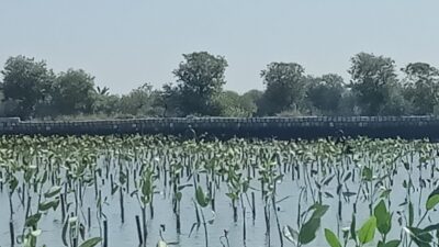 IMG 20260630 WA0022