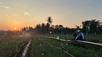 IMG 20260721 WA0038