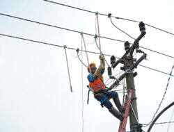 Semangat Hari Sumpah Pemuda, Rampingkan Anak Usaha, PLN Hadirkan PLN Services untuk Meningkatkan Layanan ke Masyarakat